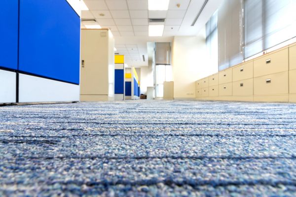 Business Carpet Cleaning in Sheboygan