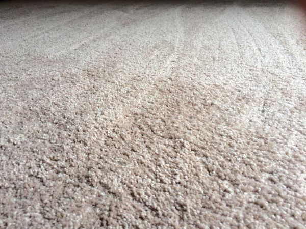 Plush Carpet Installation in Sheboygan